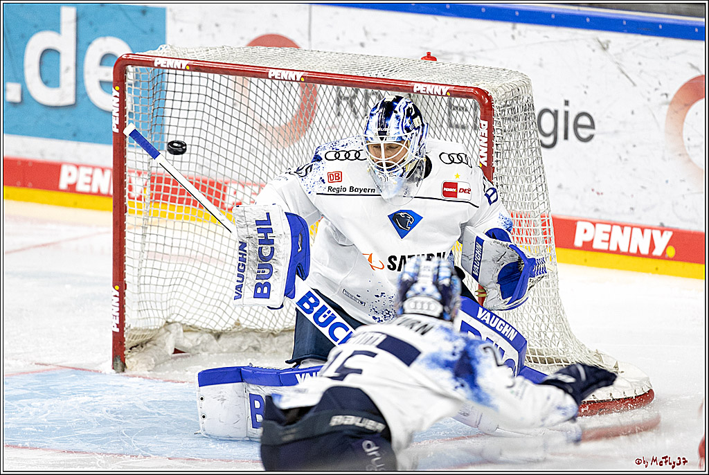 PENNY DEL 1. Playoff Runde;  Koelner Haie - ERC Ingolstadt; Koeln, 05.04.2022